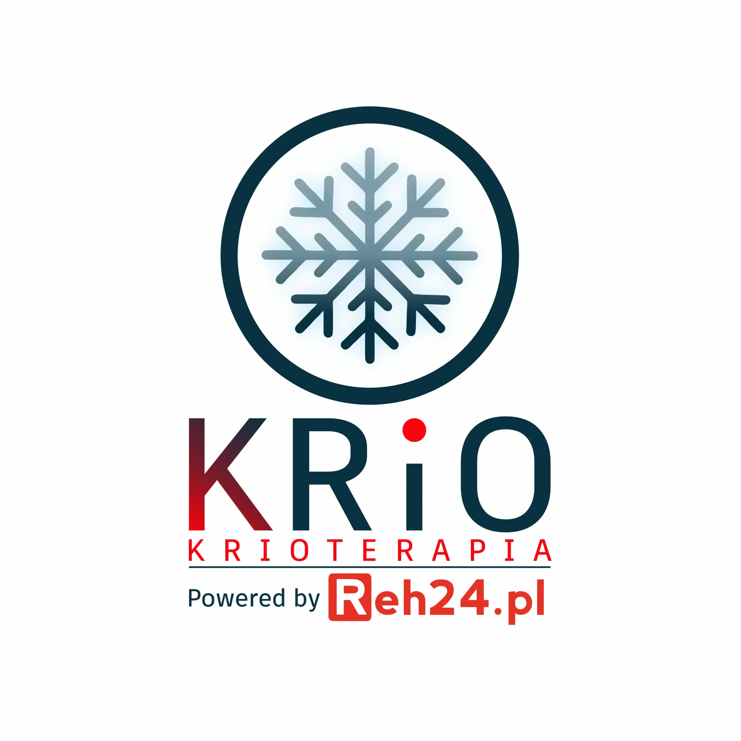 Identyfikacja wizualna